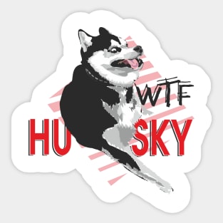 Funny husky Sticker